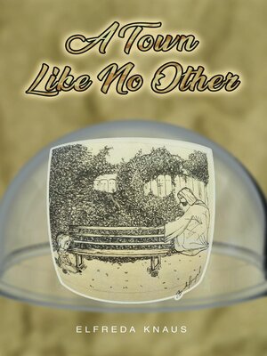cover image of A Town Like No Other